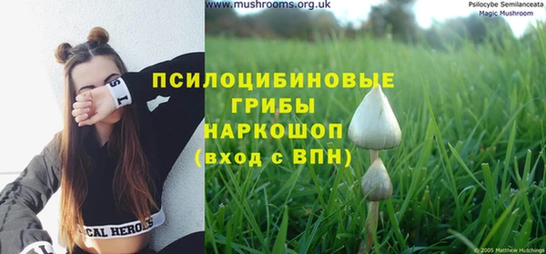 молекула духа Балабаново